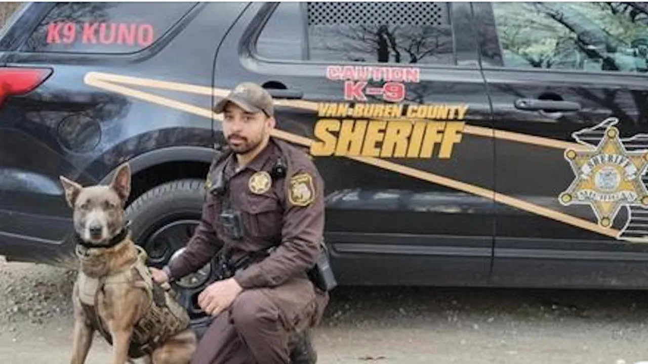 Belgian Malinois K9 Forgets Training Upon Reuniting with First Handler Unexpectedly