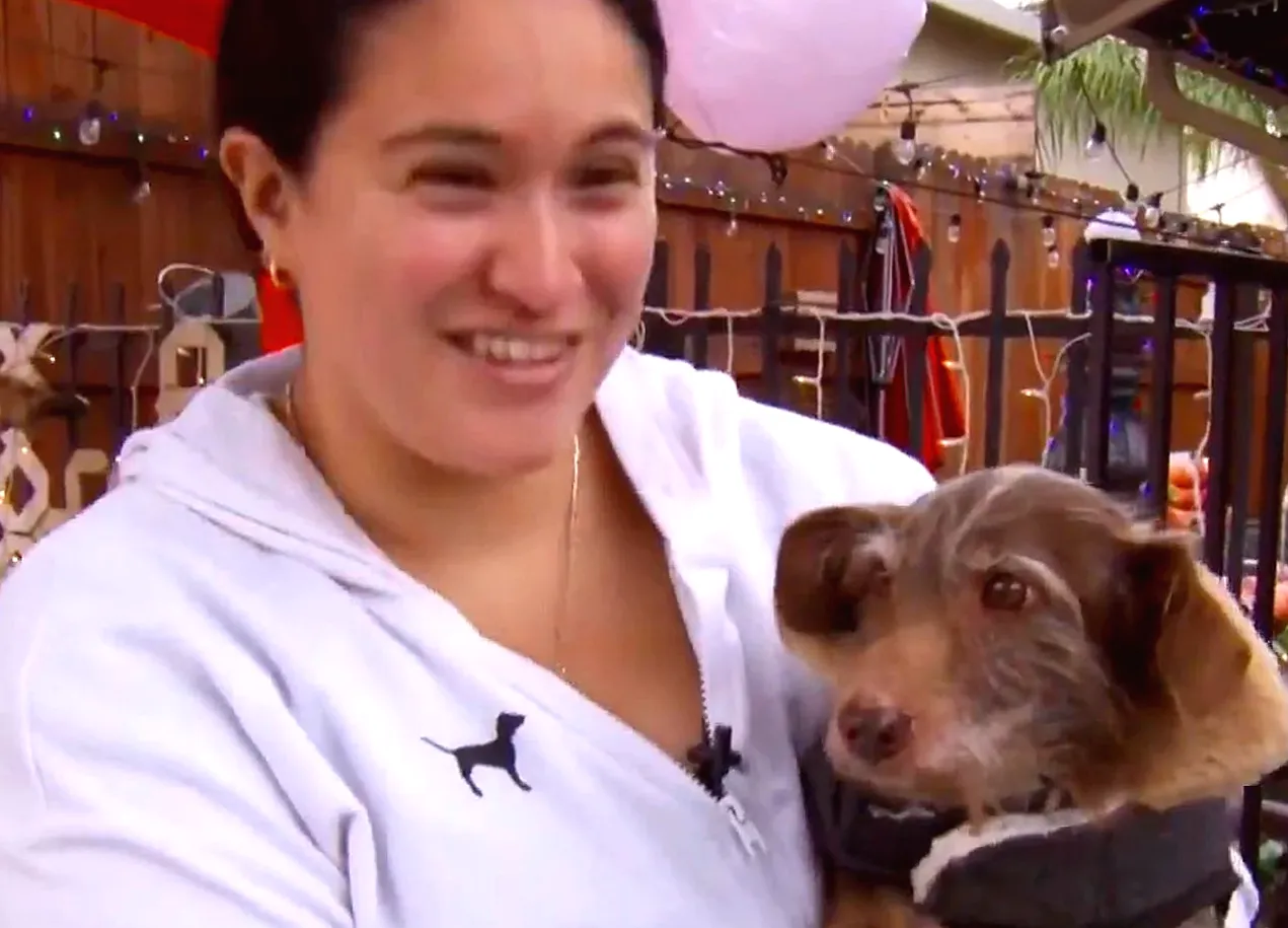 Dog Missing from California for Almost 5 Years Discovered Alone and Tied to Fence in Michigan, 2289 Miles Apart