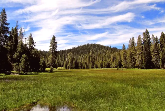 Southern Sierra Miwuk Nation Regains 900 Acres of Land