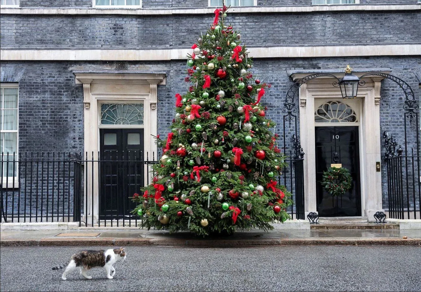 The sight of our Christmas tree outside No 10 is unforgettable