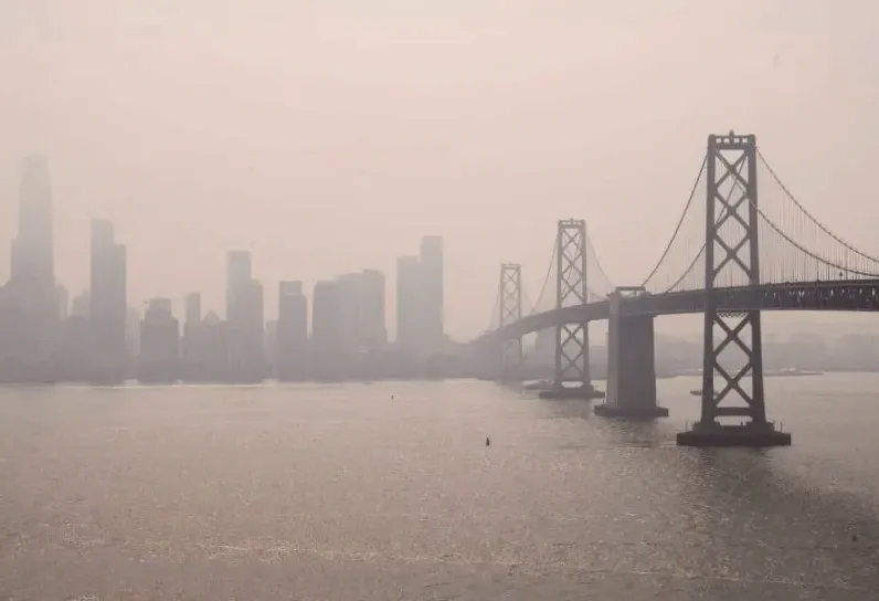 Research indicates that air pollution is a factor in the development of blocked arteries.