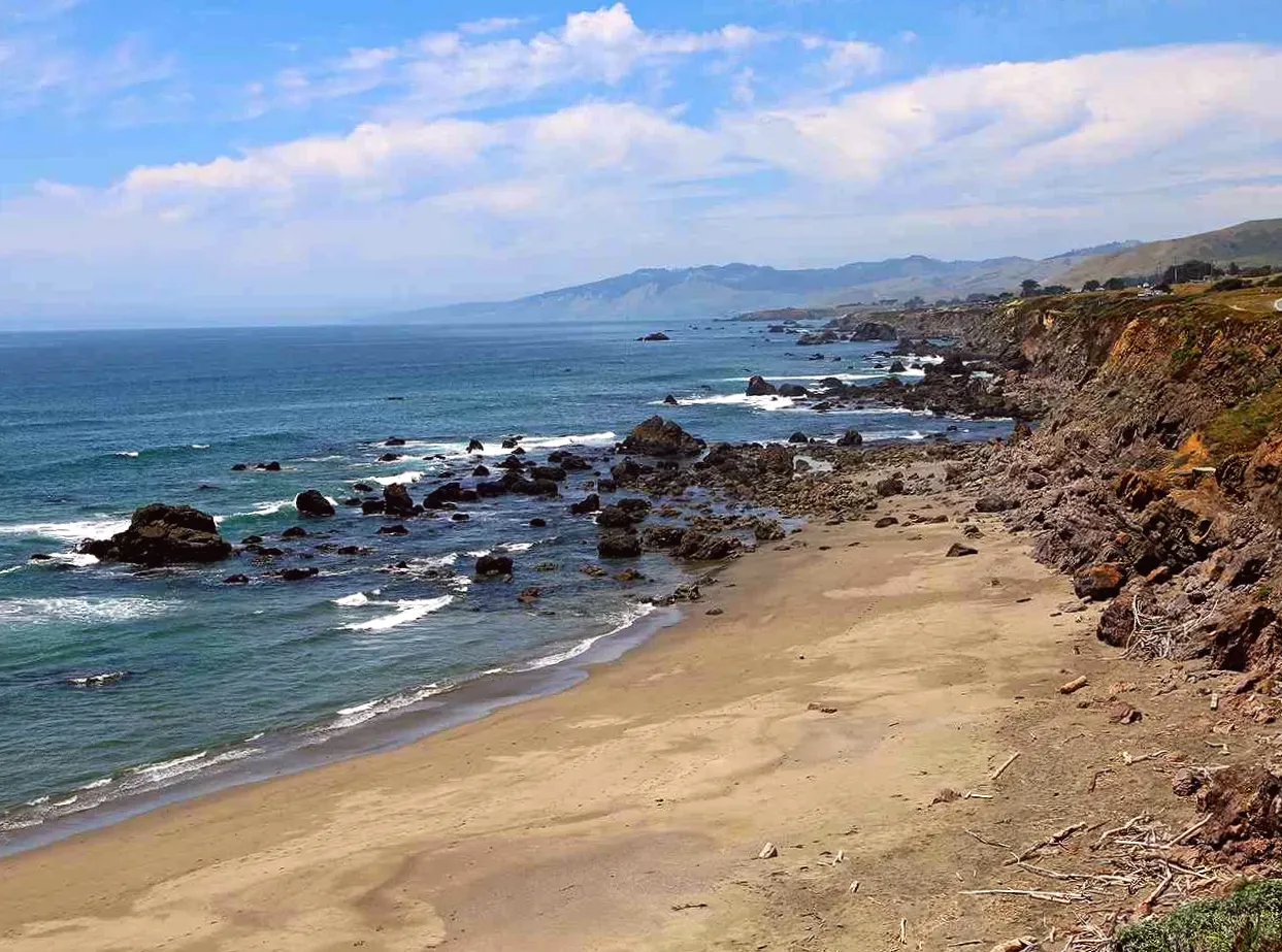 Surfer Manages to Drive to Hospital After Shark Attack at California Beach, Despite Injured Hand