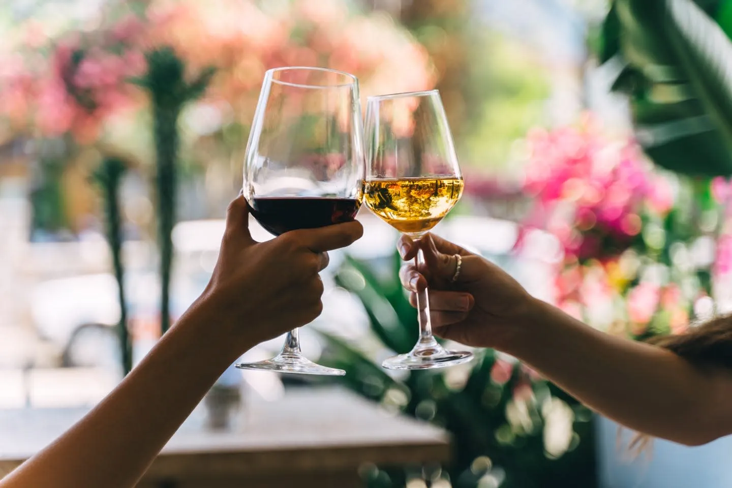 Comparison of Red Wine and White Wine: Nutritionists Provide Explanation