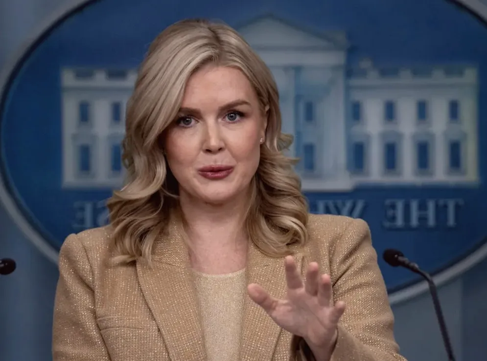 Karoline Leavitt's Brother Involved in Difficult Custody Battle With ICE-Arrested Ex