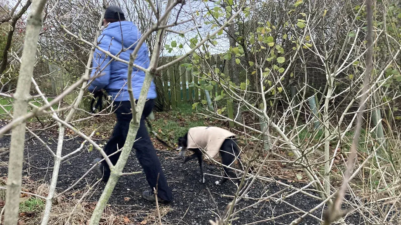 Domestic abuse victim chose to stay for her dog