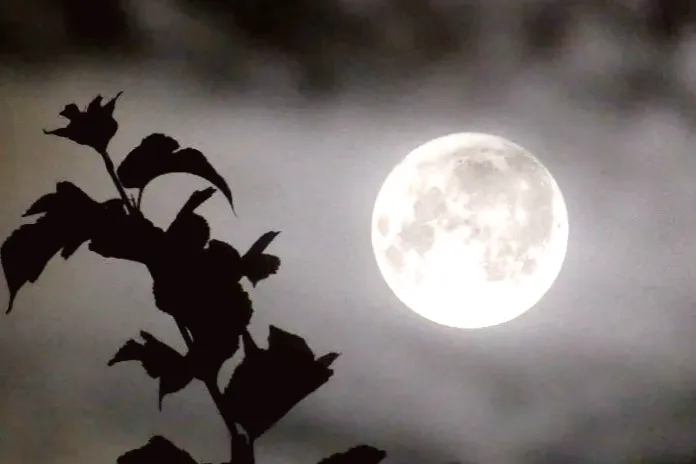 Is there a full moon tonight? Understanding the significance of the December cold moon and the longest night moon