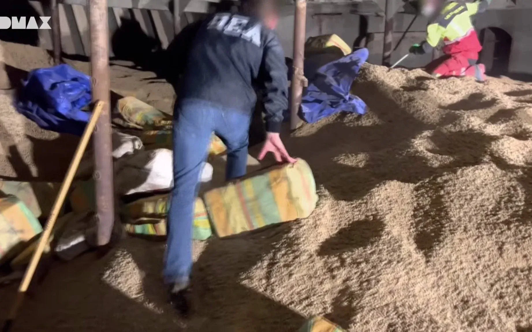 Cattle smuggling: How cartels use livestock to transport drugs to Europe