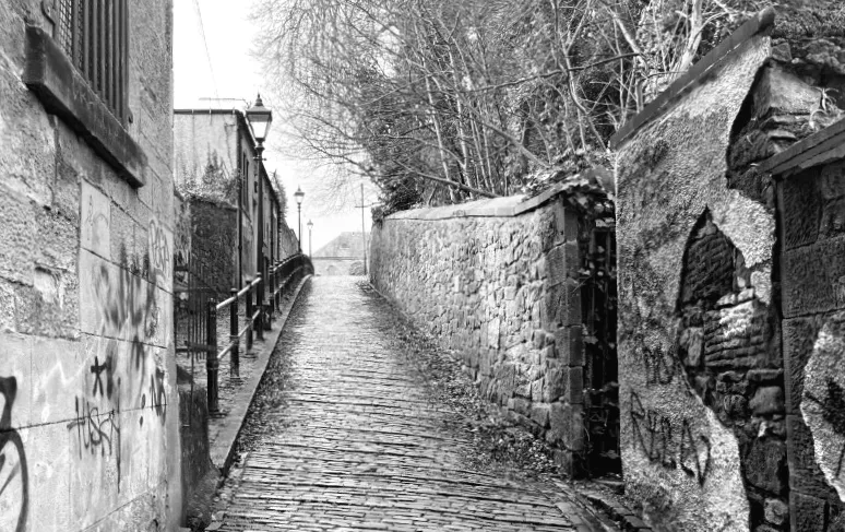 Police seek information after male teenager sexually assaulted in alleyway