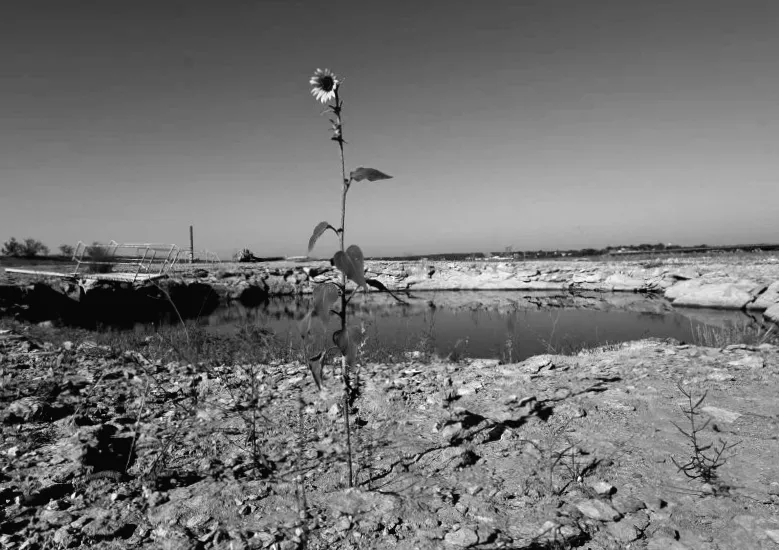 Ranchers in Texas and Oklahoma prepare for difficult summer ahead following sixth consecutive year of drought.