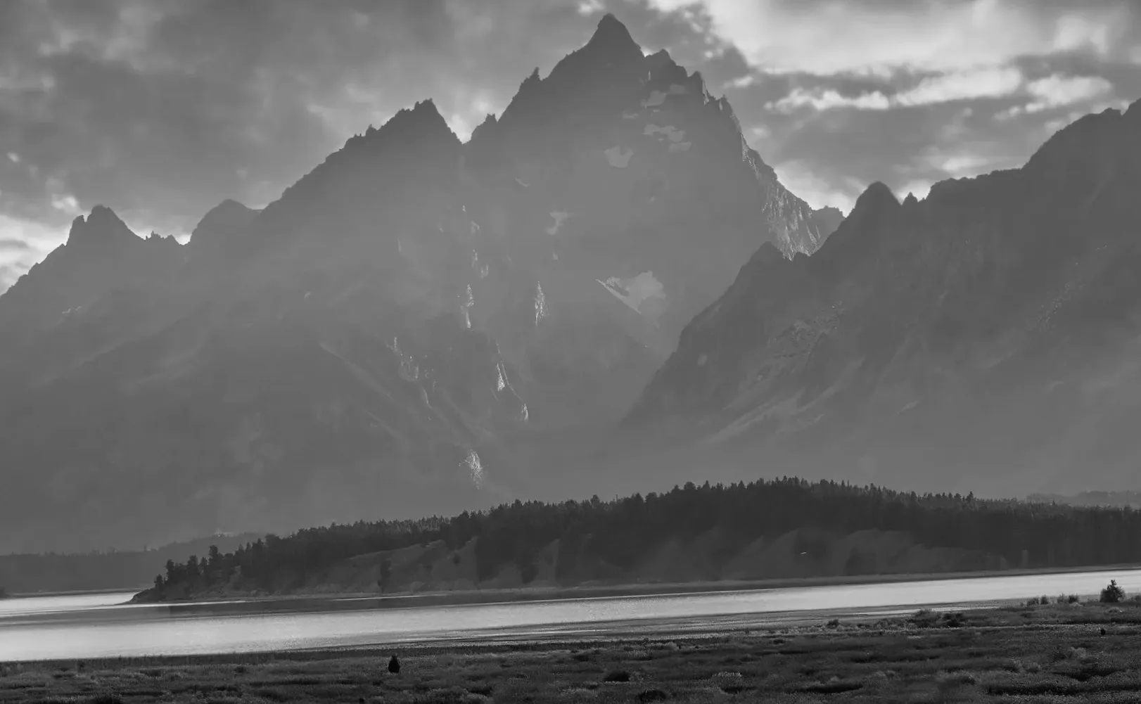 Tourist's risky behavior near wild animal caught on video: 'They lack awareness'