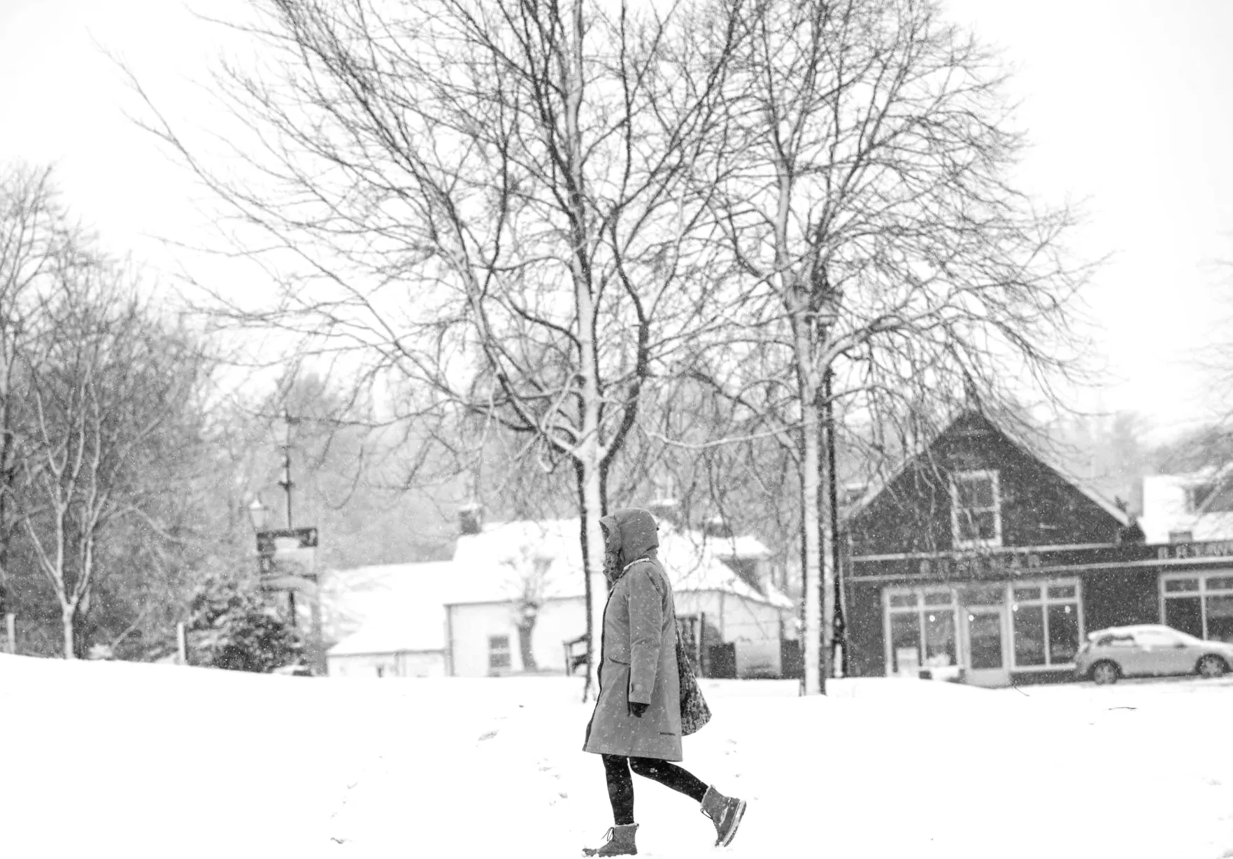 Snowfall in Scotland captured in photos during weather alerts.