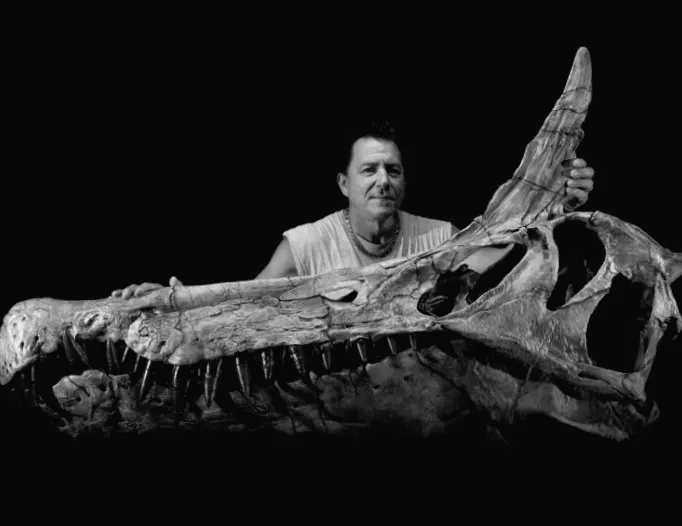Researchers find enormous dinosaur with bird-like features in Niger desert