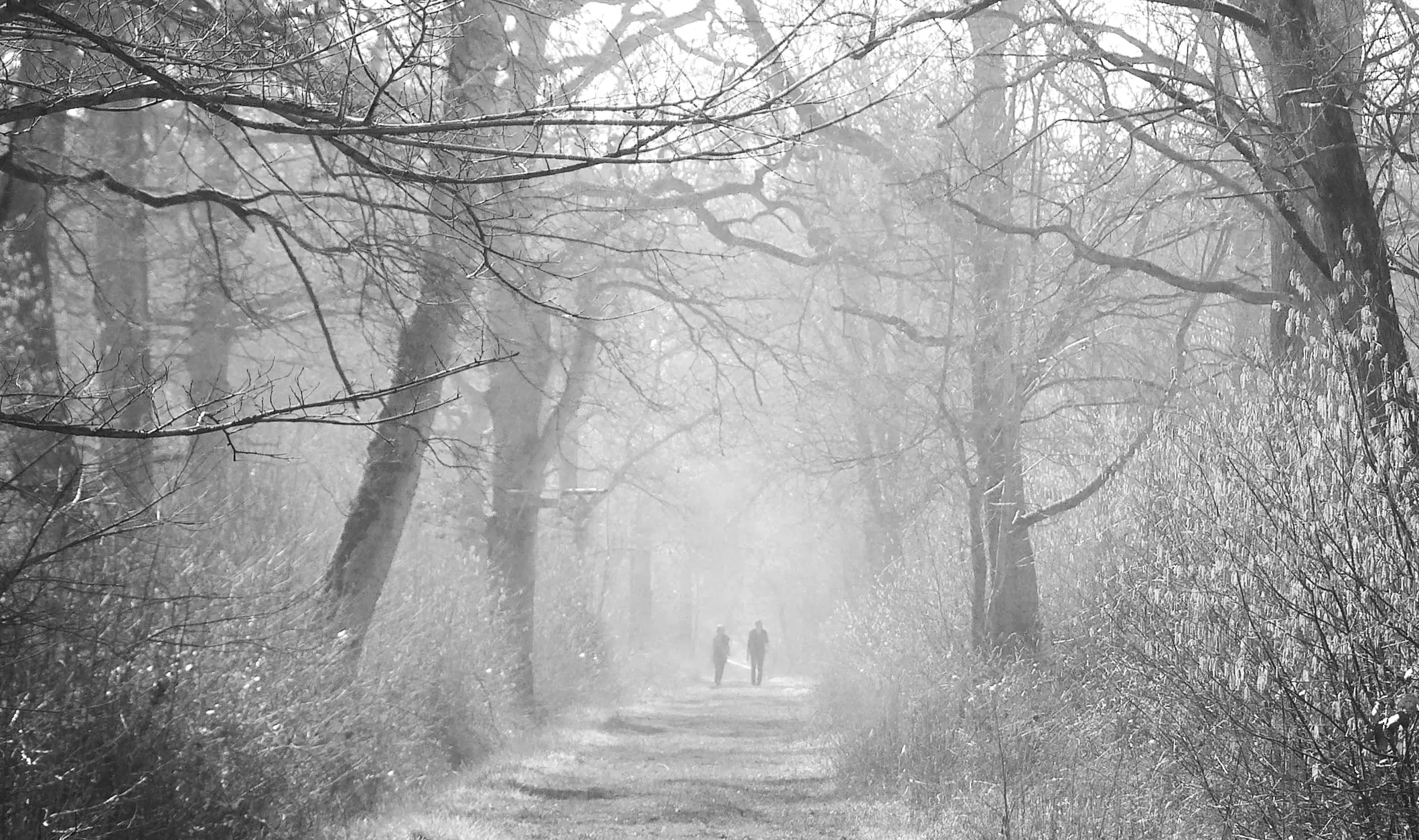 Wildlife trust shuts down site over dog-related problems