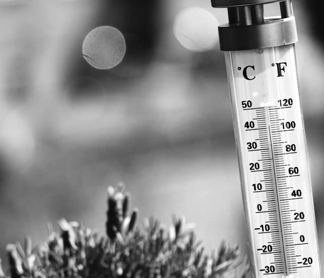 Cities and States with Record-Breaking March Temperatures Exceeding 100 Degrees