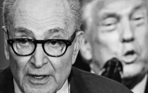 Chuck Schumer Calls Donald Trump a 'Military Moron'