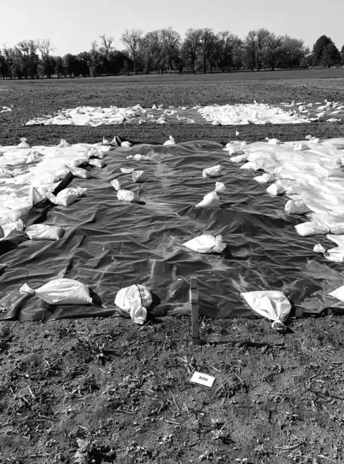 SDSU issues new soil tarping guidelines