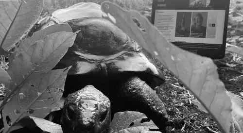 Jonathan the 193-year-old tortoise is alive and well, contrary to rumors of his death.