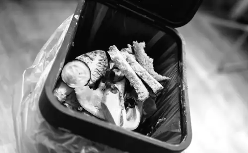 Council advises against using new food bins for now