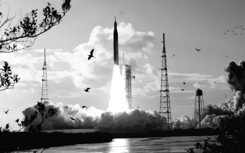 Curious about the impact of space on human health?