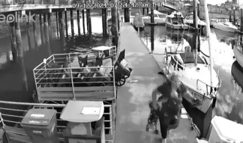 Port of Bremerton compensates family attacked by river otter with $350K