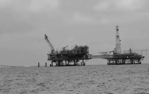 US government allows oil and gas companies to bypass protections for endangered species in Gulf of Mexico