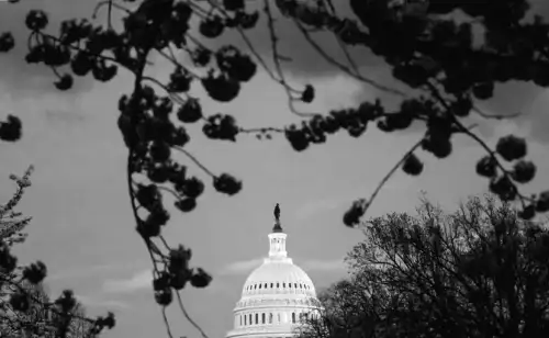 "Democrats favored by 'double haters' as many Americans express frustration with both parties ahead of midterms"