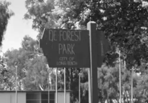 Child discovers small human skull during Easter egg hunt in California park: 'Heartbreaking discovery'
