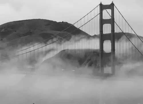 Replacing Competence with Compassion: A Shift in Priorities