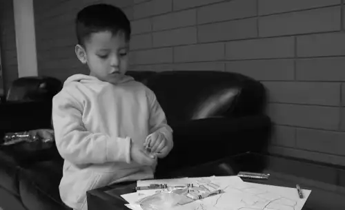 Liam Conejo Ramos' parents express concern about ICE apprehending him once more