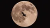 Final supermoon of the year illuminates the East