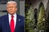 The Potential Impact of Trump's Tariffs on Your Christmas Tree in 2021