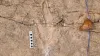 Researchers record more than 16,000 footprints in the largest dinosaur tracksite in the world