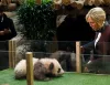 French first lady Brigitte Macron reunites with an old friend in China: A giant panda named Yuan Meng