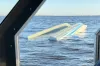 3 Killed and 1 in Critical Condition Following Catamaran Capsizing on Florida River
