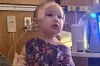 Oregon Toddler Attacked by Neighbor’s Dogs Receives Multiple Surgeries, Family Reports