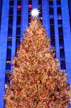 Witness the iconic lighting of the Rockefeller Christmas tree in New York City