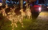 Transforming a garden into a Winter Wonderland for a charitable cause