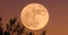 This week marks the rise of the last supermoon in 2025