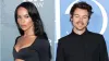 Harry Styles is prepared to elevate his relationship with Zoe Kravitz to the next level (Exclusive)